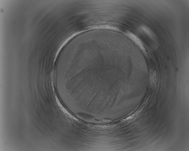 X0000081361100200702020134