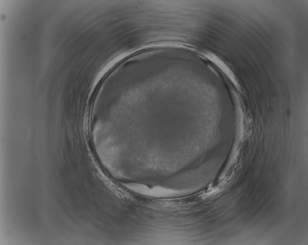 X0000081361101200702020134