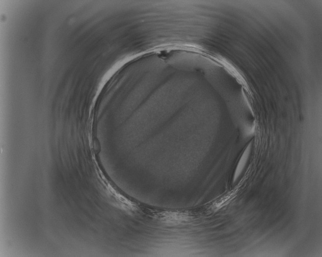 X0000081361102200702020134