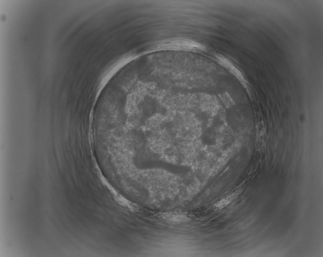 X0000081361103200702020134