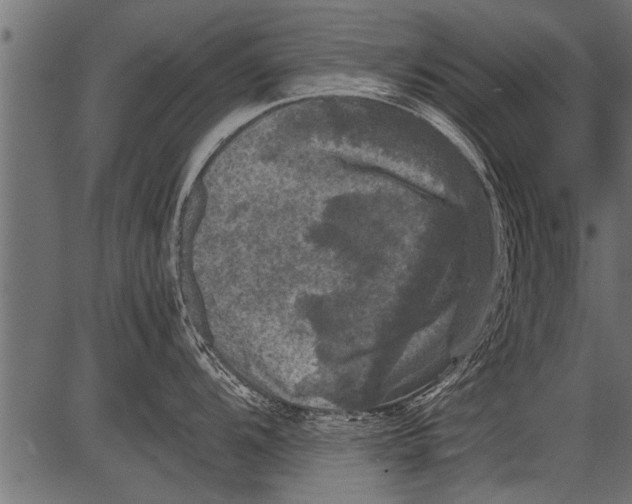 X0000081361104200702020134