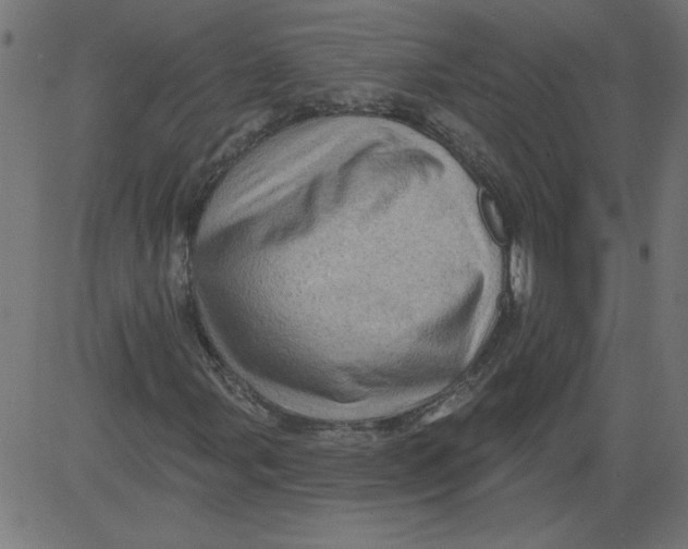 X0000081361107200702020133