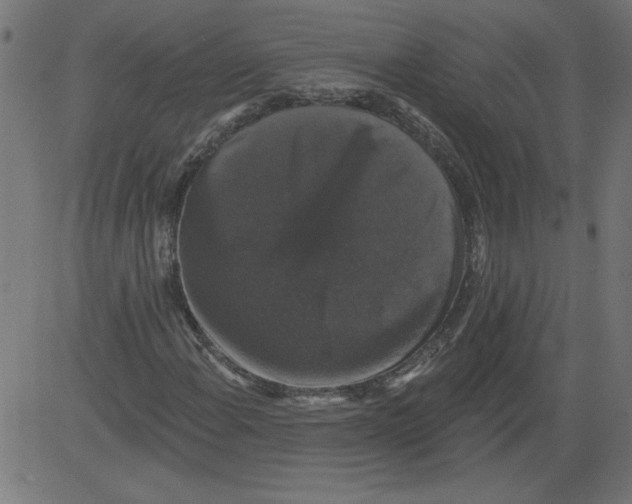 X0000081361108200702020133