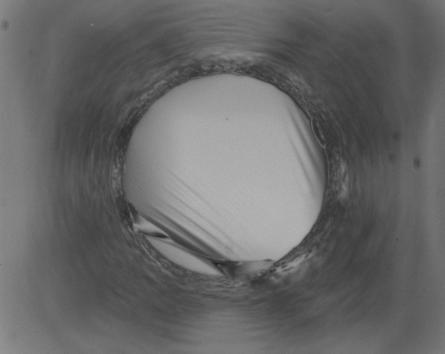 X0000081361109200702020133