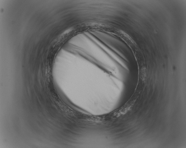 X0000081361111200702020133