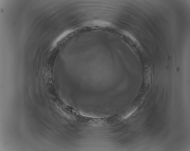 X0000081361112200702020133