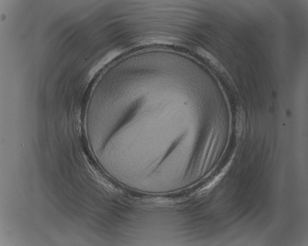 X0000081361113200702020133