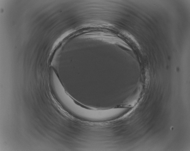 X0000081361114200702020133