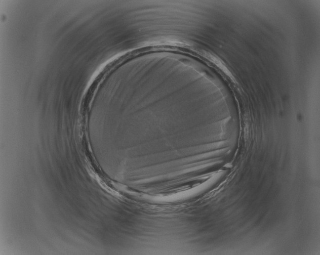 X0000081361116200702020133