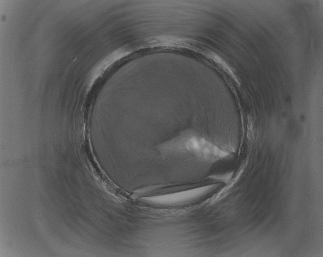 X0000081361117200702020133