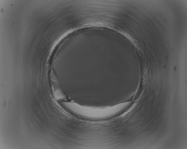 X0000081361118200702020133