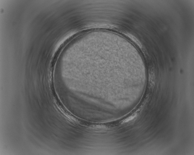 X0000081361119200702020133