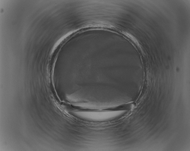 X0000081361120200702020133