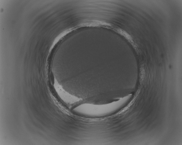 X0000081361122200702020133