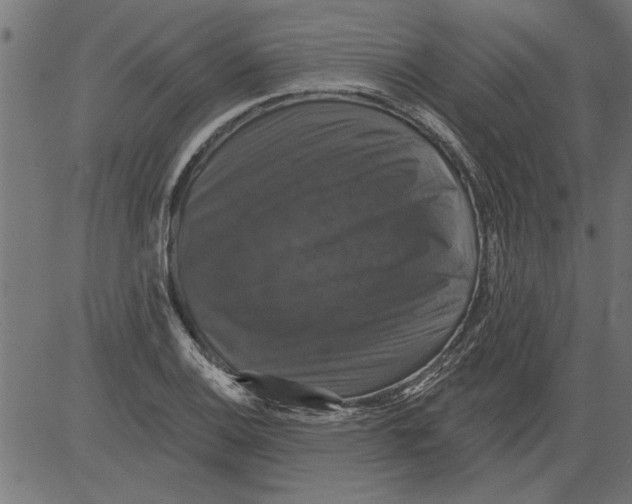 X0000081361124200702020133