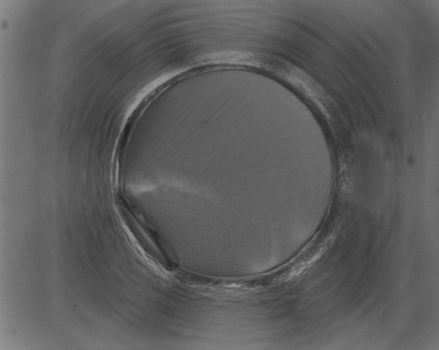 X0000081361125200702020133