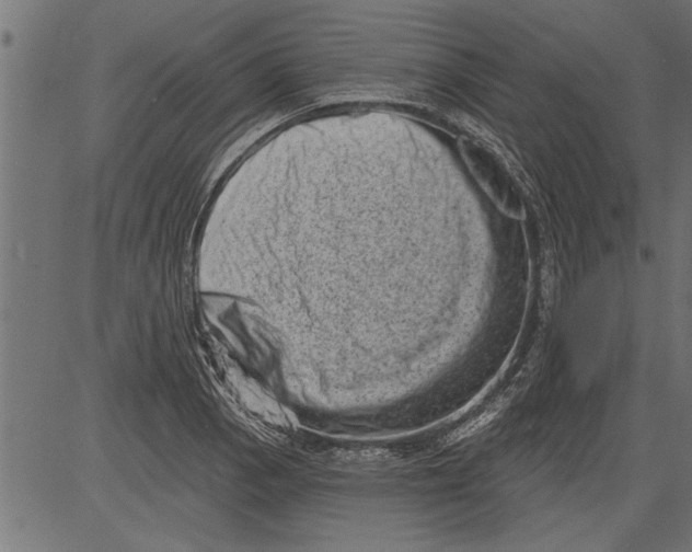 X0000081361129200702020133