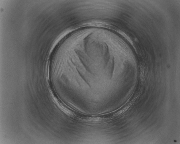 X0000081361131200702020133