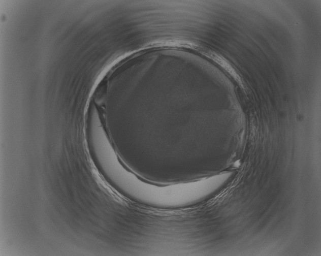 X0000081361132200702020133