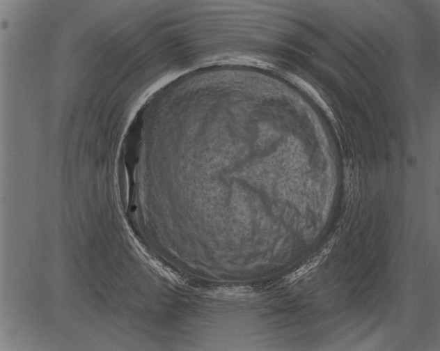 X0000081361133200702020133