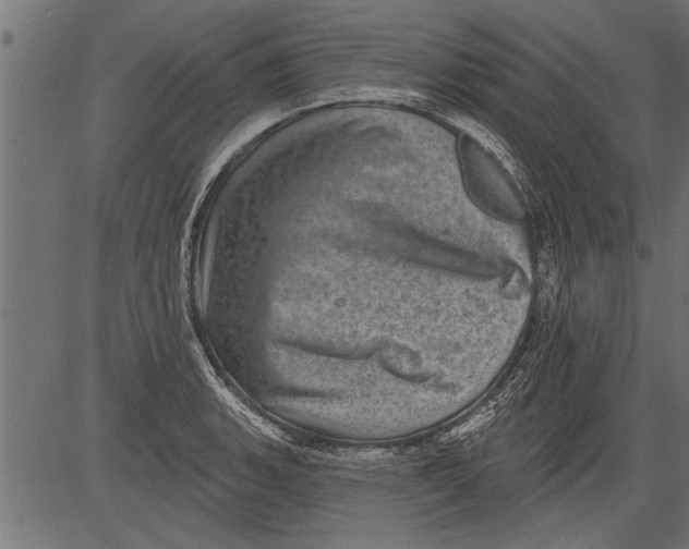 X0000081361135200702020133