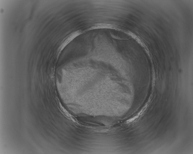 X0000081361137200702020133