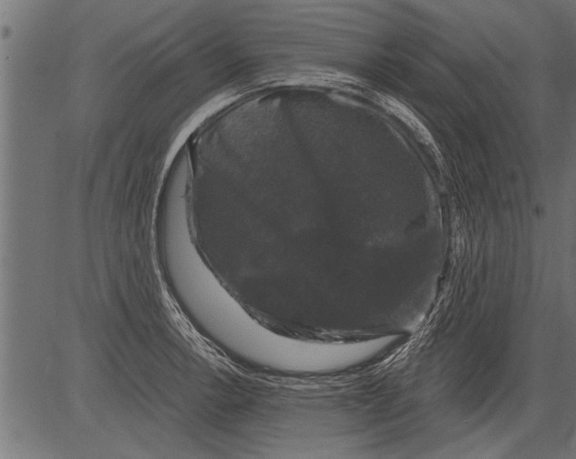 X0000081361138200702020133