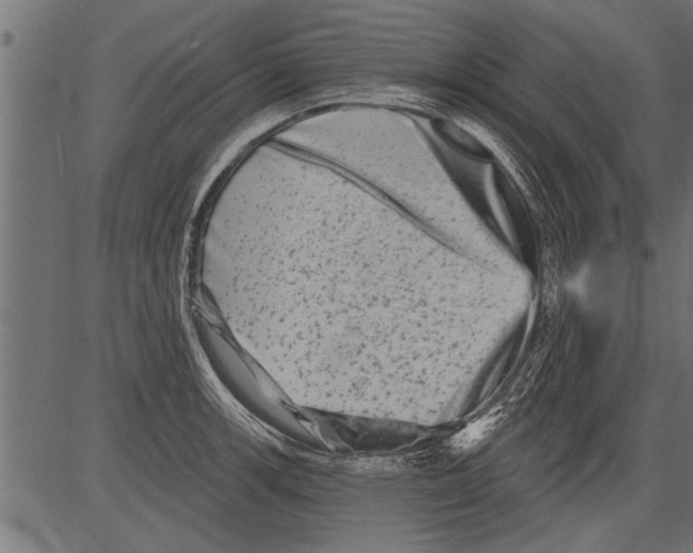 X0000081361139200702020133