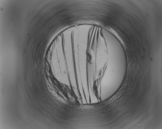 X0000081361140200702020133