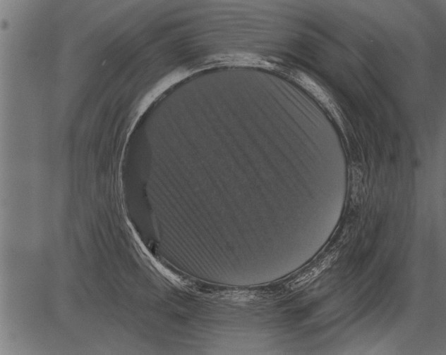 X0000081361141200702020133