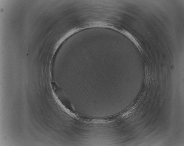 X0000081361142200702020133