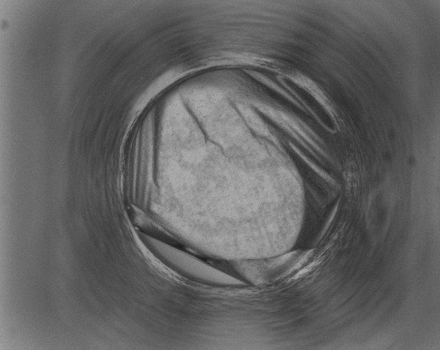 X0000081361143200702020133