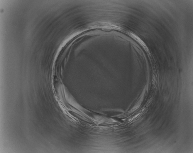 X0000081361144200702020133