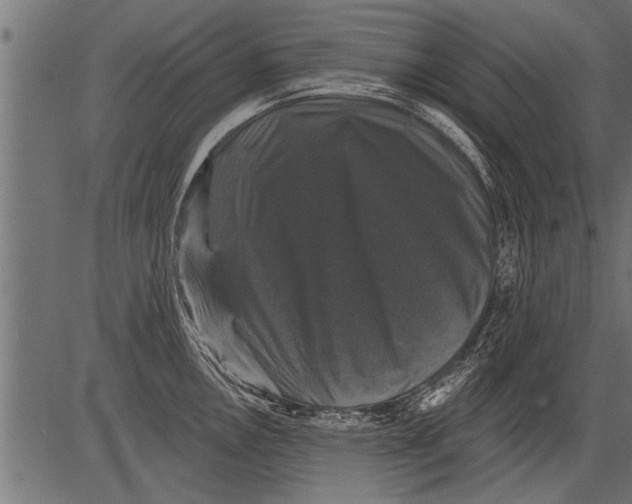 X0000081361146200702020133