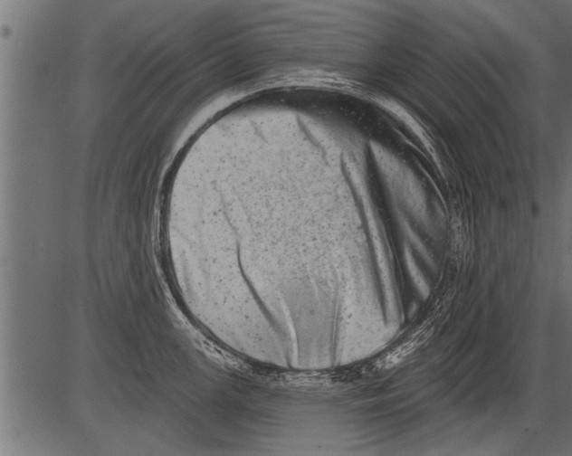 X0000081361147200702020134