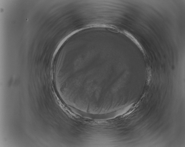 X0000081361148200702020134