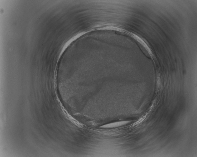 X0000081361149200702020134