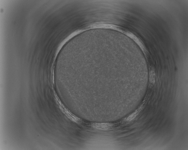 X0000081361150200702020134