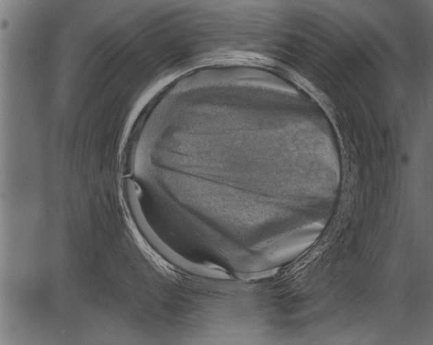 X0000081361152200702020134