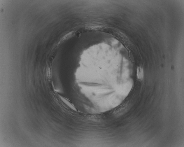 X0000081361155200702020133