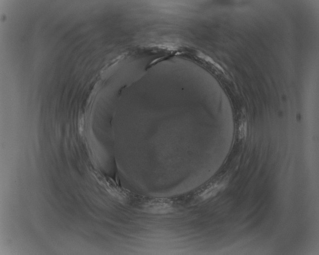 X0000081361156200702020133