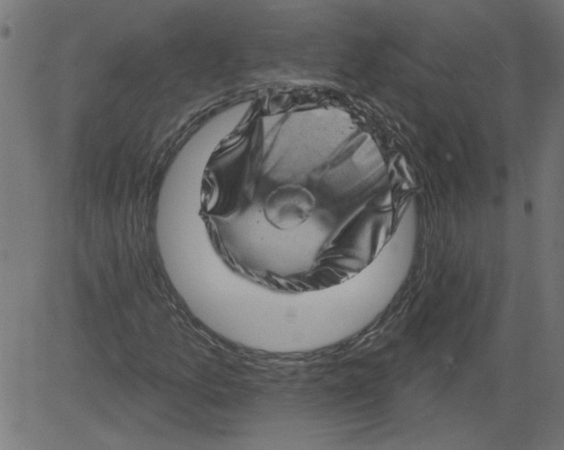 X0000081361157200702020133