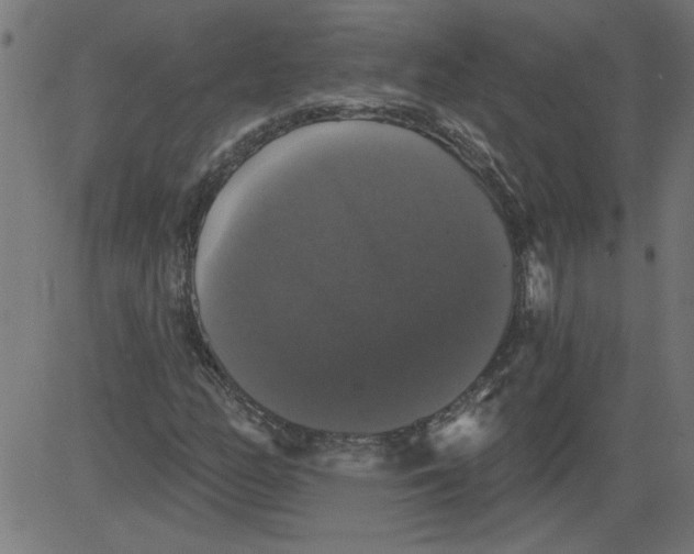 X0000081361158200702020133