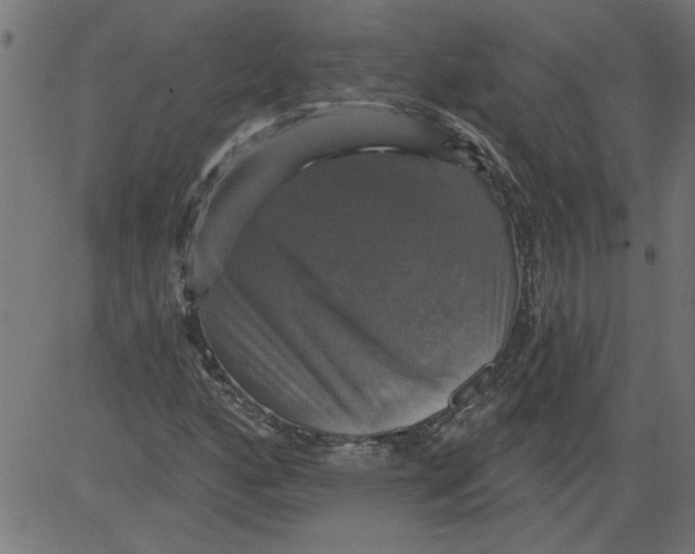 X0000081361160200702020133