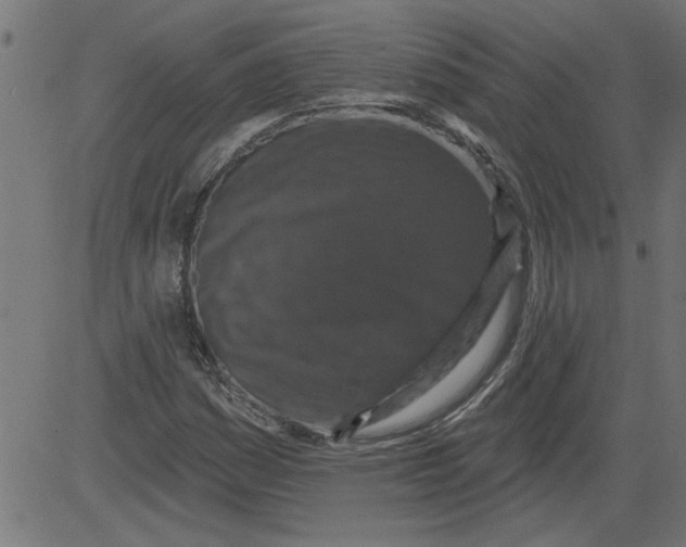 X0000081361161200702020133