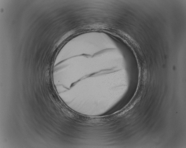 X0000081361162200702020133