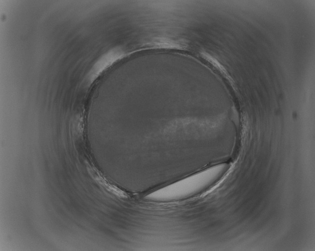 X0000081361163200702020133