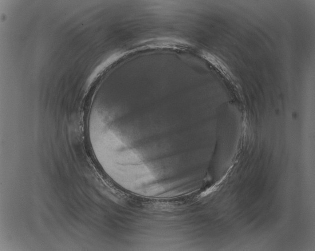 X0000081361164200702020133