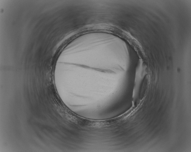 X0000081361166200702020133