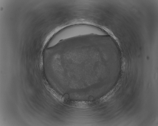 X0000081361167200702020133